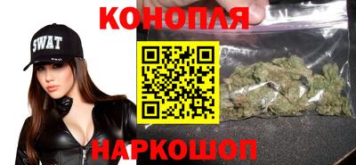 стаф Вязьма