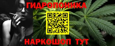 стаф Вязьма