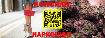стаф Вязьма