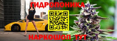 дмт Вышний Волочёк