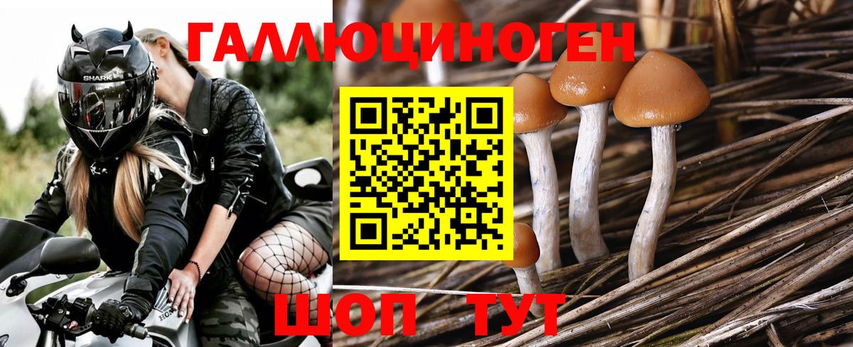 где найти наркотики  Вход с VPN  Бор  Галлюциногенные грибы мицелий 